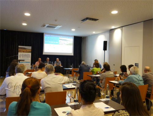 X reunión Internistas de Baleares